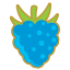 Blue Raspberry