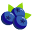 Blueberry
