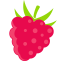 Raspberry